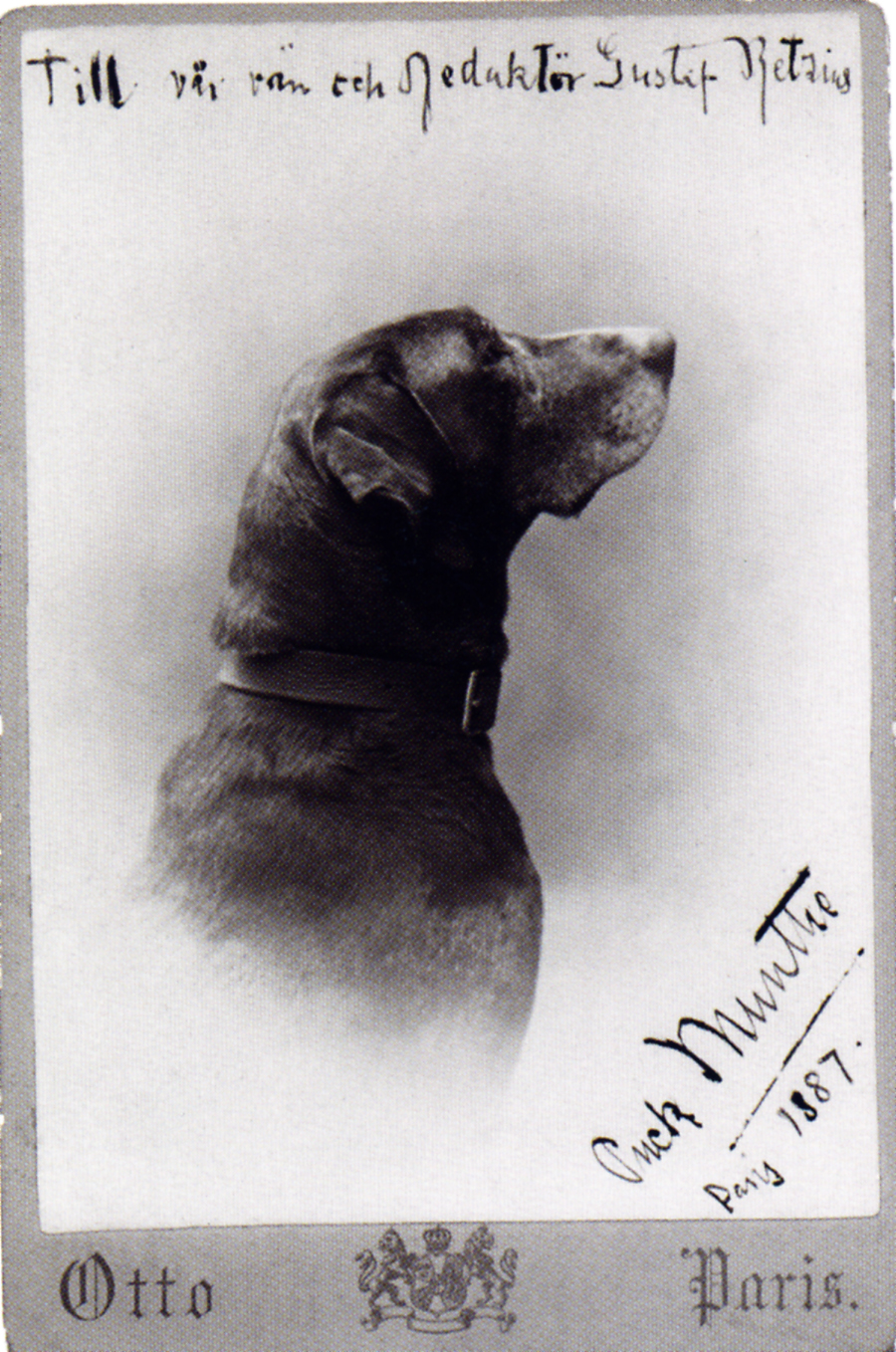 Axel Munthe’s dog Puck. Munthe used his name as a pseudonym
